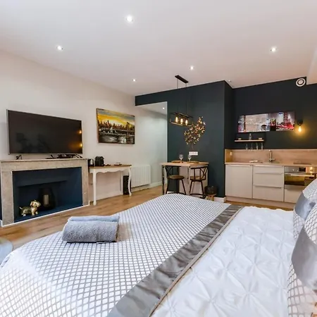 Charming In The Heart Of The Pedestrian Area Apartment Annecy