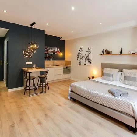 Charming In The Heart Of The Pedestrian Area Apartment Annecy